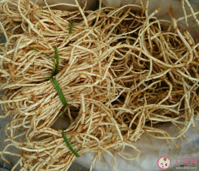 當北方人第一次吃折耳根是什么感覺 第一次吃魚腥草的體驗