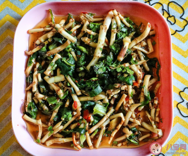 當北方人第一次吃折耳根是什么感覺 第一次吃魚腥草的體驗