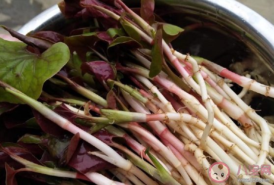 第一次吃折耳根涼拌怎么發(fā)說說 第一次吃折耳根的心情感受