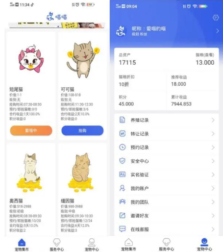 網(wǎng)上養(yǎng)貓平臺(tái)是怎么騙錢的 云養(yǎng)貓有哪些陷阱