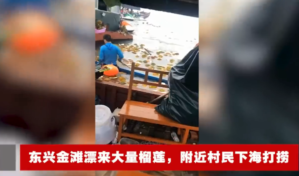 哄搶榴蓮村民食物中毒是怎么回事 榴蓮會(huì)導(dǎo)致中毒嗎 哄搶榴蓮村民食物中毒是怎么回事 榴蓮會(huì)導(dǎo)致中毒嗎