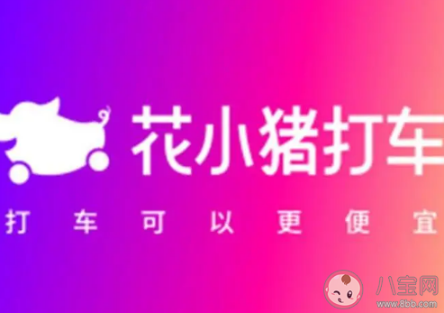 滴滴花小豬打車被多地叫停怎么回事 滴滴花小豬打車靠譜嗎