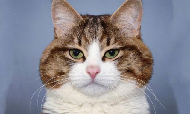 男女幽默逗笑的深夜聊天對話語錄大全 男女深夜調情聊天的搞笑句子