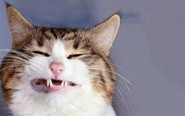 男女幽默逗笑的深夜聊天對話語錄大全 男女深夜調情聊天的搞笑句子