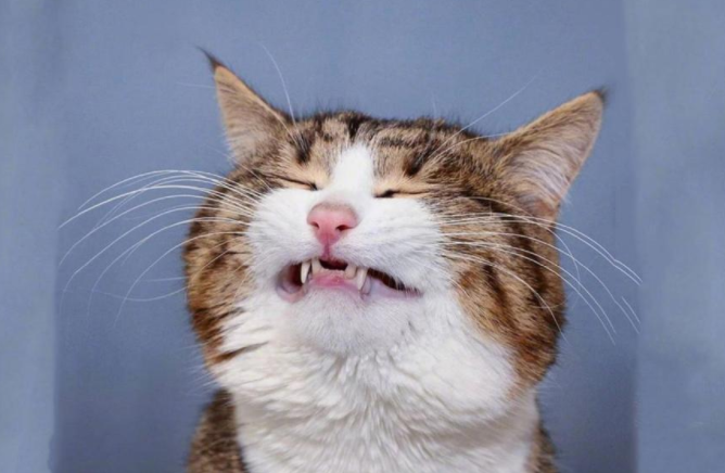 男女幽默逗笑的深夜聊天對話語錄大全 男女深夜調情聊天的搞笑句子