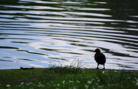 女生說你好污怎么回復(fù)幽默 你是暖男要怎么回答