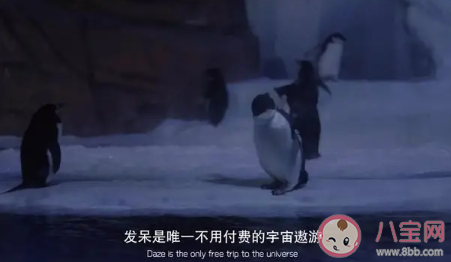 女生說(shuō)你臉皮真厚怎么回答 你保護(hù)我怎么回復(fù)