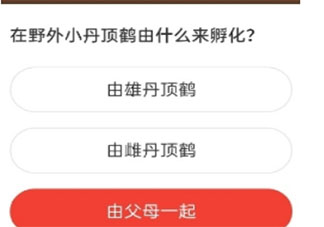 在野外小丹頂鶴由什么來孵化 森林驛站8月27日答案