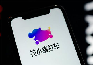 花小豬打車遭多地叫停是怎么回事 花小豬打車軟件怎么了