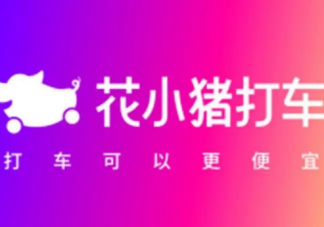 滴滴花小豬打車被多地叫停怎么回事 滴滴花小豬打車靠譜嗎
