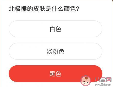 北極熊的皮膚是什么顏色 森林驛站8月28日答案