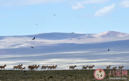 擅闖無人區到底有多險 無人區背后的危險