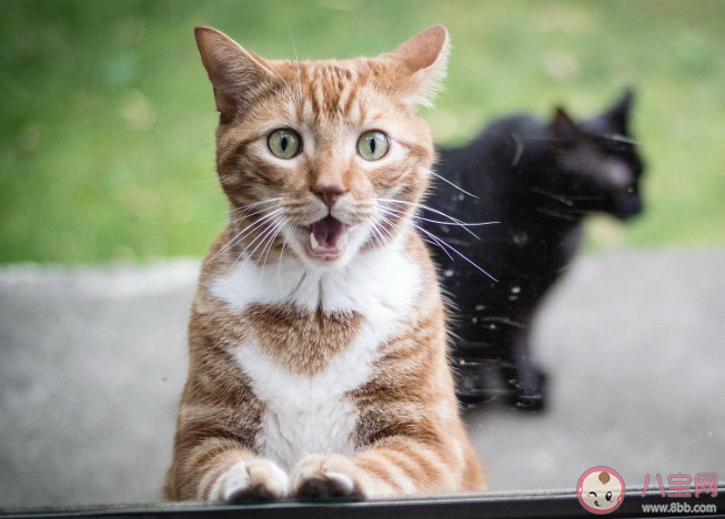 為什么富二代喜歡找個普通的工作上班 富二代還上班的原因