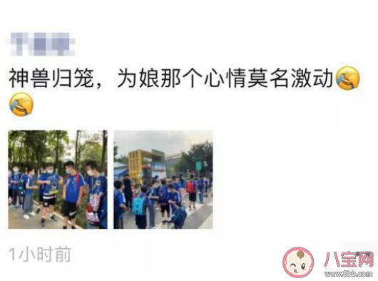 孩子開學了神獸們上學了的朋友圈心情 家里的神獸終于開學了發的說說