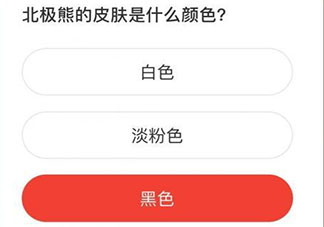 北極熊的皮膚是什么顏色 森林驛站8月28日答案