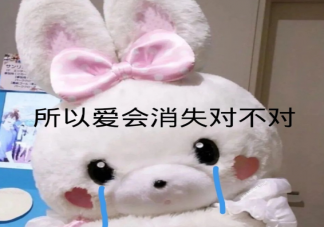 所以愛會消失對不對下一句怎么接 所以愛會不會消失回復(fù)答案