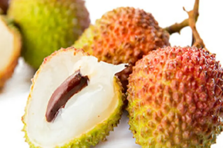 楊貴妃在當時能吃到西紅柿嗎 螞蟻莊園8月29日最新答案 楊貴妃在當時能吃到西紅柿嗎 螞蟻莊園8月29日最新答案