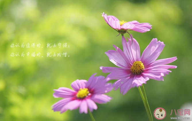 九月請對我好一點心情文案說說配圖2020 九月請對我好一點圖片句子大全2020