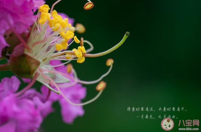 九月請對我好一點心情文案說說配圖2020 九月請對我好一點圖片句子大全2020