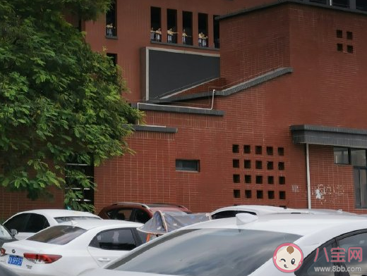 回到母校發朋友圈心情說說 回母校了感慨感言句子 回到母校發朋友圈心情說說 回母校了感慨感言句子