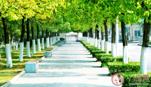 校園開(kāi)學(xué)怎么和女生搭訕 怎么要女生電話號(hào)碼