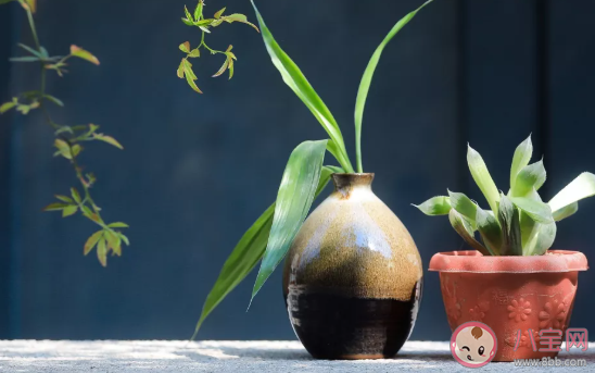 怎么用裝傻的方式搭訕女生 第一次認識的開場白對話