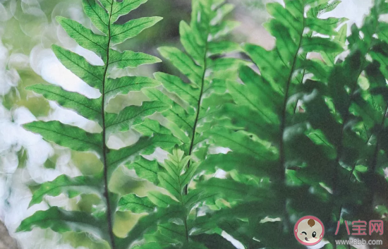 陌陌里第一次聊天的開場白對話 聊天軟件的搭訕技巧