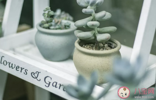 陌陌里第一次聊天的開場白對話 聊天軟件的搭訕技巧 陌陌里第一次聊天的開場白對話 聊天軟件的搭訕技巧