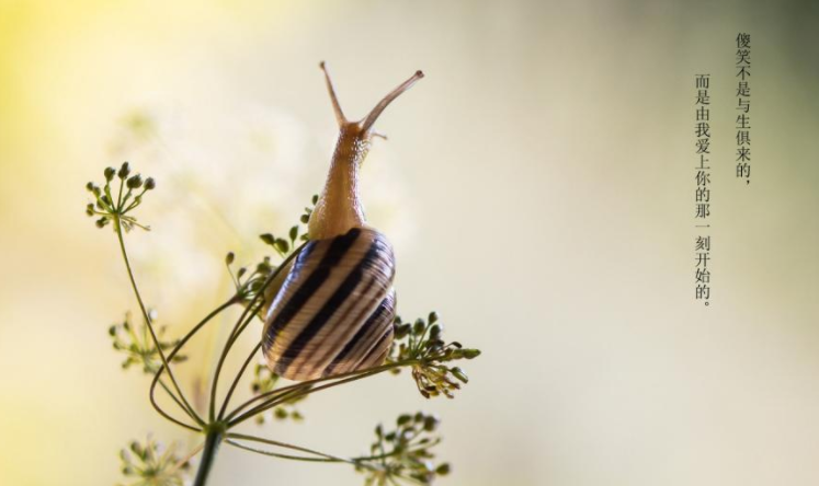 女生說你怎么這么會撩妹怎么回答 你怎么這么會撩妹情話句子答案 女生說你怎么這么會撩妹怎么回答 你怎么這么會撩妹情話句子答案