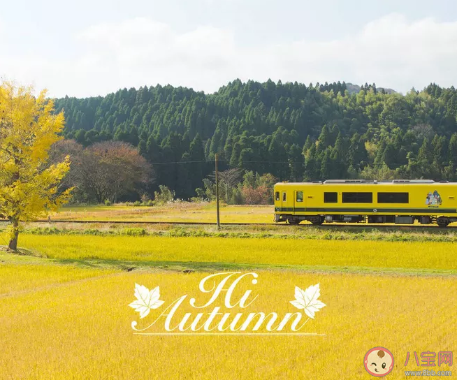 夏天再見秋天你好心情說說 夏天再見秋天你好心情句子 夏天再見秋天你好心情說說 夏天再見秋天你好心情句子