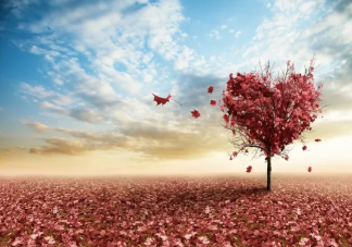 夏天再見(jiàn)秋天你好正能量說(shuō)說(shuō) 夏天再見(jiàn)秋天你好經(jīng)典句子