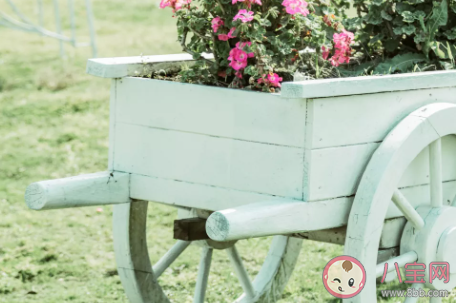 女生說你很自信怎么回復(fù) 你很自戀的聊天話術(shù)