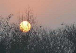 十句肉麻又幽默的情話說說 適合發給女友的搞笑套路