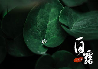 2020白露節(jié)氣的經(jīng)典說說祝福語美句 2020白露時(shí)節(jié)唯美說說朋友圈