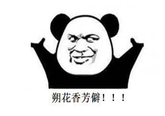 朔花香芳僻是什么意思什么梗 朔花香芳僻梗出處來源是什么