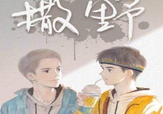 《撒野》小說要改編電視劇是真的嗎 《撒野》是耽美小說嗎