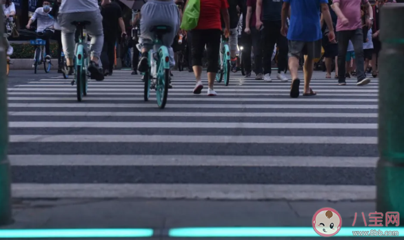 廣州地面紅綠燈是怎樣的 智慧斑馬線有什么作用