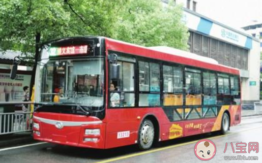 公交車超載的標準是1平米站多少人 最新螞蟻莊園9月11日答案 公交車超載的標準是1平米站多少人 最新螞蟻莊園9月11日答案