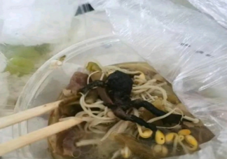 女子點外賣里面有只癩蛤蟆是什么情況 吃癩蛤蟆有什么危害