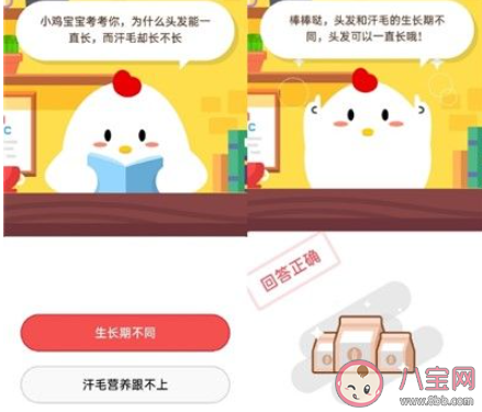 為什么頭發(fā)能一直長而汗毛卻長不長 螞蟻莊園9月11日答案