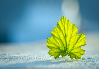 明星經典語錄句子 經典勵志的情感語錄