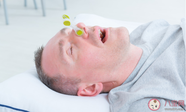 打呼嚕聲越大代表睡眠質量越好嗎 支付寶螞蟻莊園小課堂9月14日答案