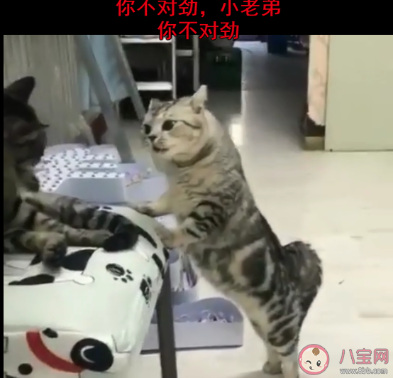 B站你不對勁是什么意思什么梗 你不對勁梗出處來源是哪里