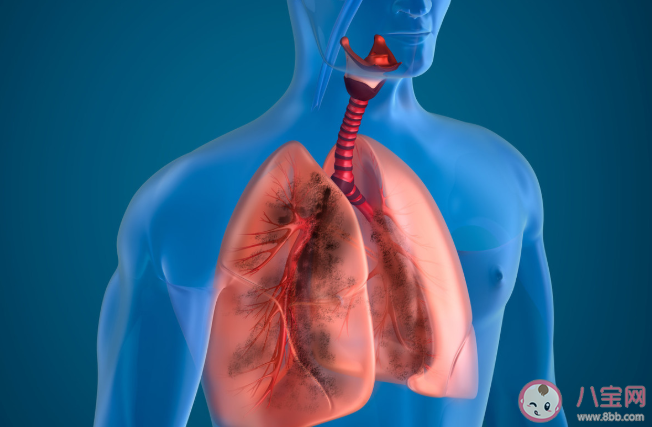 秋天肺部最怕什么 秋天應該如何保養肺部2020