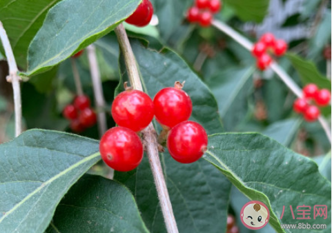 9月最后一天說再見的心情句子 9月最后一天的感受心情說說