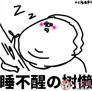 社畜有哪些分類 社畜定位分類