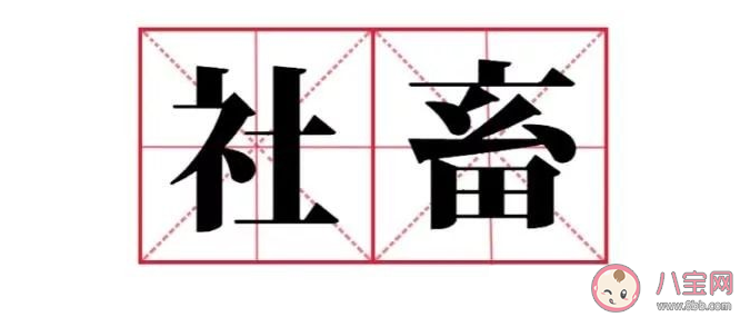 社畜有哪些分類 社畜定位分類