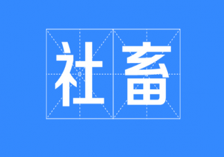 社畜有哪些分類 社畜定位分類