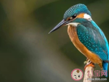 有哪些極簡的人生建議 簡單在理的人生建議總結 有哪些極簡的人生建議 簡單在理的人生建議總結