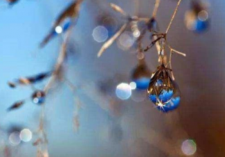 寒露節注意保暖發朋友圈配文2020 寒露到了注意身體問候語大全